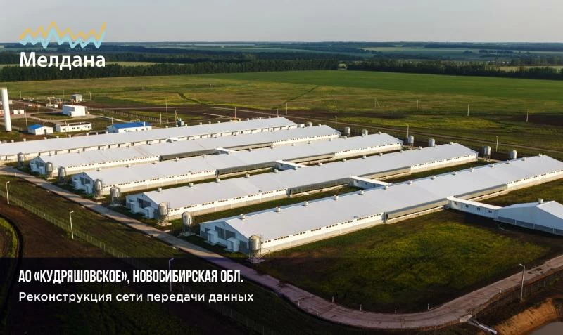 Реконструкция сети передачи данных АО Кудряшевское